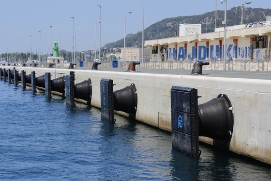 Padrão Hyper da AIPCN 2002 da ômega do para-choque de Marine Safety Dock Cone Rubber
